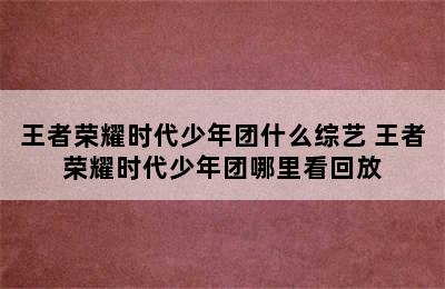 王者荣耀时代少年团什么综艺 王者荣耀时代少年团哪里看回放